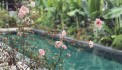 Bán Biệt thự Vườn Lài Phường an phú đông QUẬN 12, Khu Dân Cư SENTURIA, giá giảm còn 40 tỷ